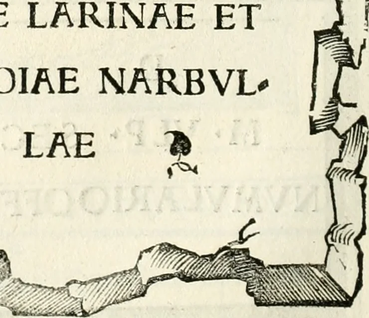 An illustration from Inscriptiones sacrosanctae vetvstatis : non illae qvidem romanae, sed totivs fere orbis svmmo stvdio ac maximis impensis Terra Mariqs conquisitæ feliciter incipiunt, 1534, leaf 323