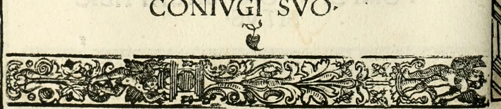 An illustration from Inscriptiones sacrosanctae vetvstatis : non illae qvidem romanae, sed totivs fere orbis svmmo stvdio ac maximis impensis Terra Mariqs conquisitæ feliciter incipiunt, 1534, leaf 355
