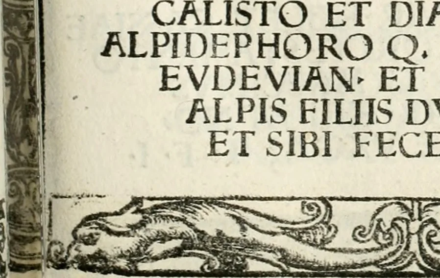 An illustration from Inscriptiones sacrosanctae vetvstatis : non illae qvidem romanae, sed totivs fere orbis svmmo stvdio ac maximis impensis Terra Mariqs conquisitæ feliciter incipiunt, 1534, leaf 362