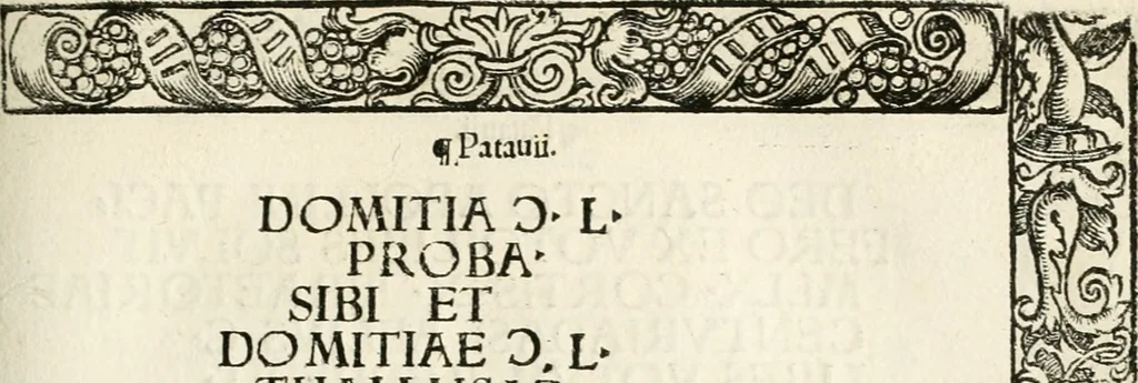An illustration from Inscriptiones sacrosanctae vetvstatis : non illae qvidem romanae, sed totivs fere orbis svmmo stvdio ac maximis impensis Terra Mariqs conquisitæ feliciter incipiunt, 1534, leaf 380