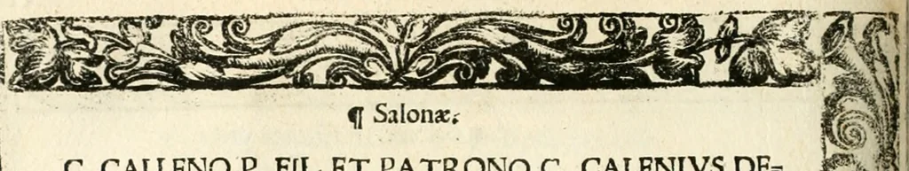 An illustration from Inscriptiones sacrosanctae vetvstatis : non illae qvidem romanae, sed totivs fere orbis svmmo stvdio ac maximis impensis Terra Mariqs conquisitæ feliciter incipiunt, 1534, leaf 411