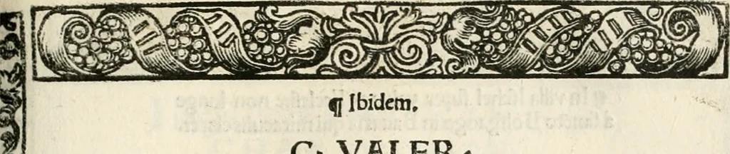 An illustration from Inscriptiones sacrosanctae vetvstatis : non illae qvidem romanae, sed totivs fere orbis svmmo stvdio ac maximis impensis Terra Mariqs conquisitæ feliciter incipiunt, 1534, leaf 434