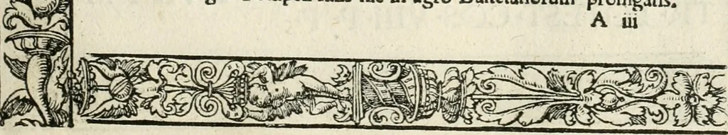 An illustration from Inscriptiones sacrosanctae vetvstatis : non illae qvidem romanae, sed totivs fere orbis svmmo stvdio ac maximis impensis Terra Mariqs conquisitæ feliciter incipiunt, 1534, leaf 46