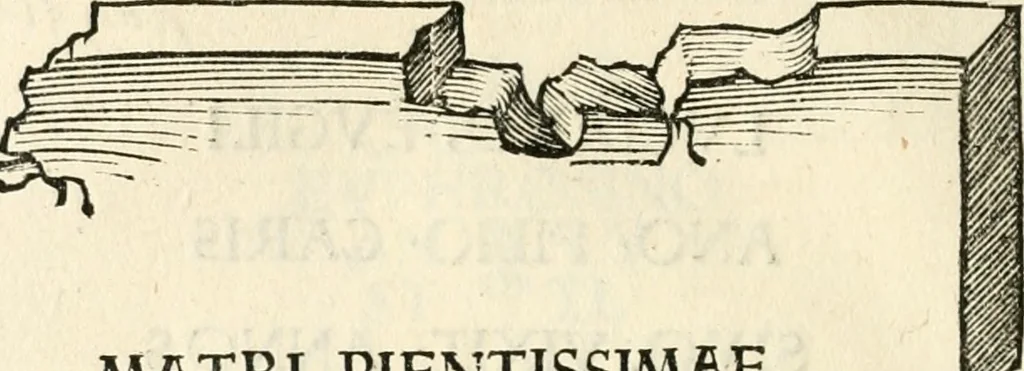 An illustration from Inscriptiones sacrosanctae vetvstatis : non illae qvidem romanae, sed totivs fere orbis svmmo stvdio ac maximis impensis Terra Mariqs conquisitæ feliciter incipiunt, 1534, leaf 471