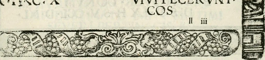An illustration from Inscriptiones sacrosanctae vetvstatis : non illae qvidem romanae, sed totivs fere orbis svmmo stvdio ac maximis impensis Terra Mariqs conquisitæ feliciter incipiunt, 1534, leaf 494