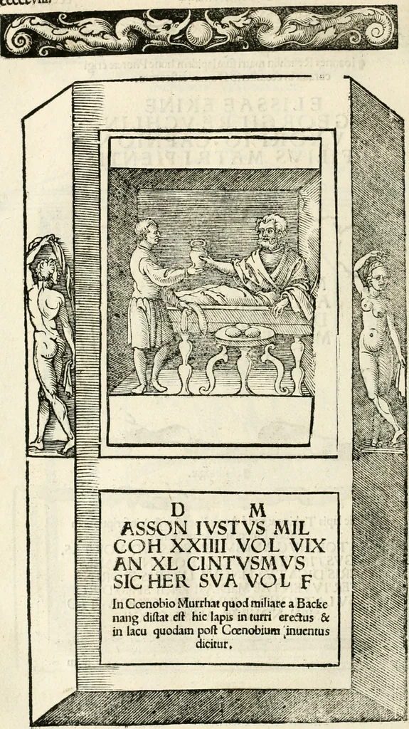 An illustration from Inscriptiones sacrosanctae vetvstatis : non illae qvidem romanae, sed totivs fere orbis svmmo stvdio ac maximis impensis Terra Mariqs conquisitæ feliciter incipiunt, 1534, leaf 499