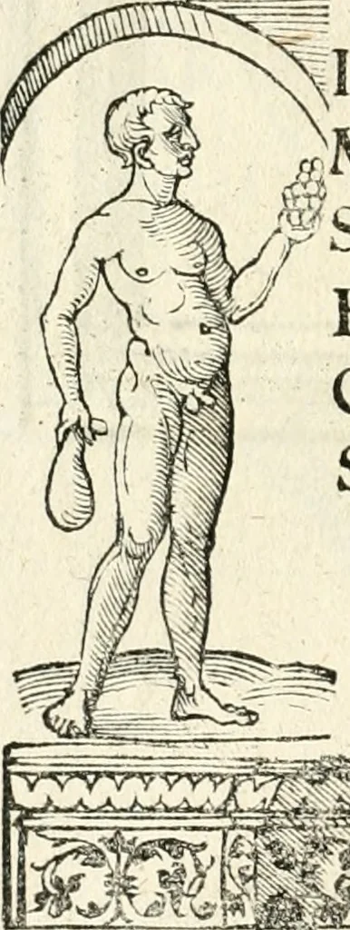 An illustration from Inscriptiones sacrosanctae vetvstatis : non illae qvidem romanae, sed totivs fere orbis svmmo stvdio ac maximis impensis Terra Mariqs conquisitæ feliciter incipiunt, 1534, leaf 505
