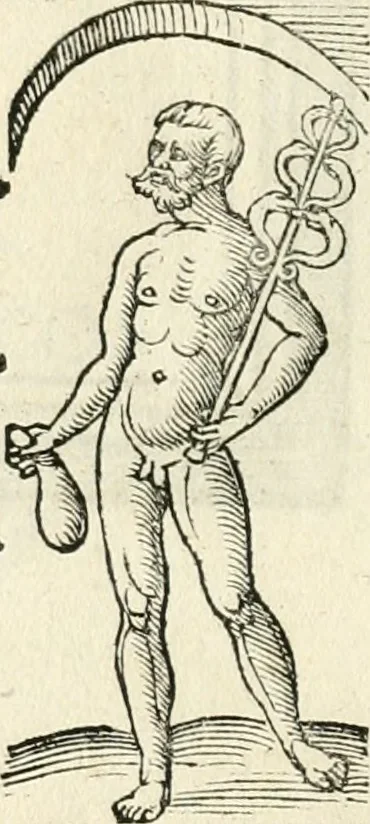An illustration from Inscriptiones sacrosanctae vetvstatis : non illae qvidem romanae, sed totivs fere orbis svmmo stvdio ac maximis impensis Terra Mariqs conquisitæ feliciter incipiunt, 1534, leaf 505