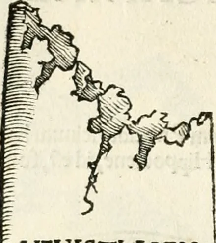 An illustration from Inscriptiones sacrosanctae vetvstatis : non illae qvidem romanae, sed totivs fere orbis svmmo stvdio ac maximis impensis Terra Mariqs conquisitæ feliciter incipiunt, 1534, leaf 539