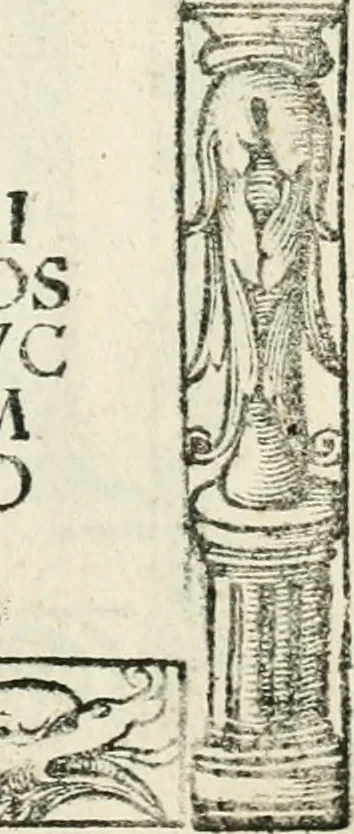 An illustration from Inscriptiones sacrosanctae vetvstatis : non illae qvidem romanae, sed totivs fere orbis svmmo stvdio ac maximis impensis Terra Mariqs conquisitæ feliciter incipiunt, 1534, leaf 540