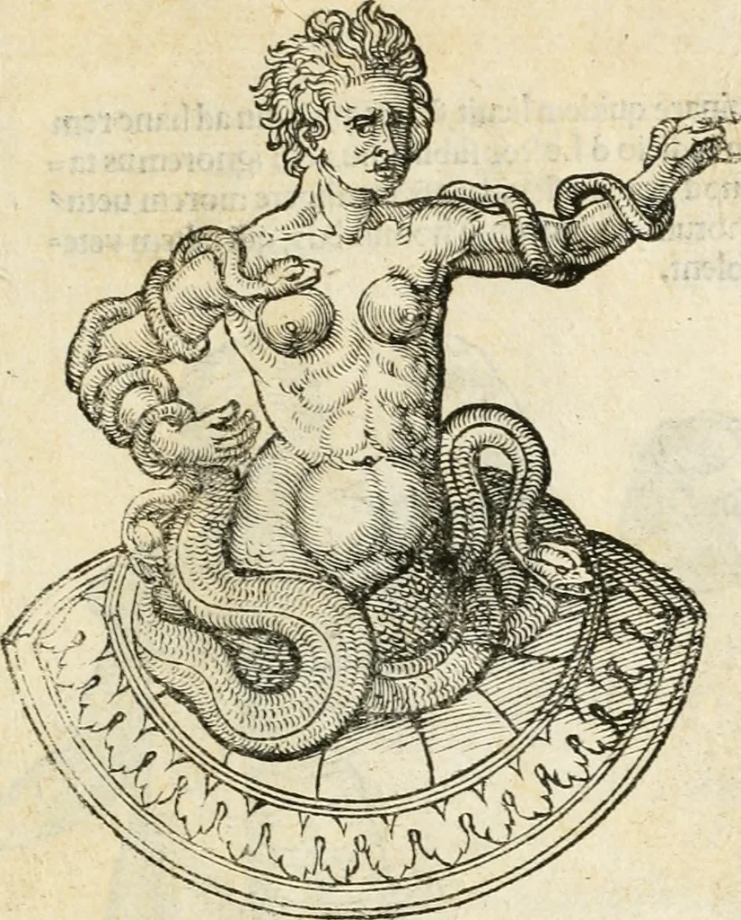 An illustration from Inscriptiones sacrosanctae vetvstatis : non illae qvidem romanae, sed totivs fere orbis svmmo stvdio ac maximis impensis Terra Mariqs conquisitæ feliciter incipiunt, 1534, leaf 558