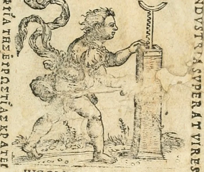An illustration from Inscriptiones sacrosanctae vetvstatis : non illae qvidem romanae, sed totivs fere orbis svmmo stvdio ac maximis impensis Terra Mariqs conquisitæ feliciter incipiunt, 1534, leaf 561