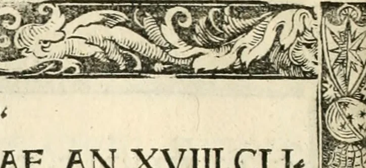 An illustration from Inscriptiones sacrosanctae vetvstatis : non illae qvidem romanae, sed totivs fere orbis svmmo stvdio ac maximis impensis Terra Mariqs conquisitæ feliciter incipiunt, 1534, leaf 61