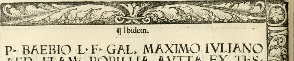 An illustration from Inscriptiones sacrosanctae vetvstatis : non illae qvidem romanae, sed totivs fere orbis svmmo stvdio ac maximis impensis Terra Mariqs conquisitæ feliciter incipiunt, 1534, leaf 63