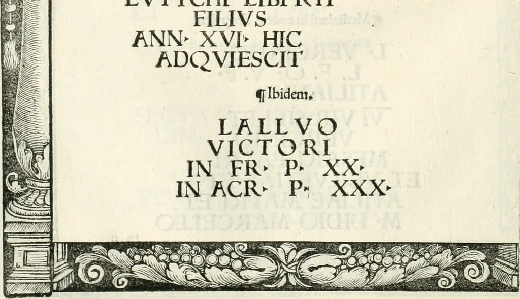 An illustration from Inscriptiones sacrosanctae vetvstatis : non illae qvidem romanae, sed totivs fere orbis svmmo stvdio ac maximis impensis Terra Mariqs conquisitæ feliciter incipiunt, 1534, leaf 69