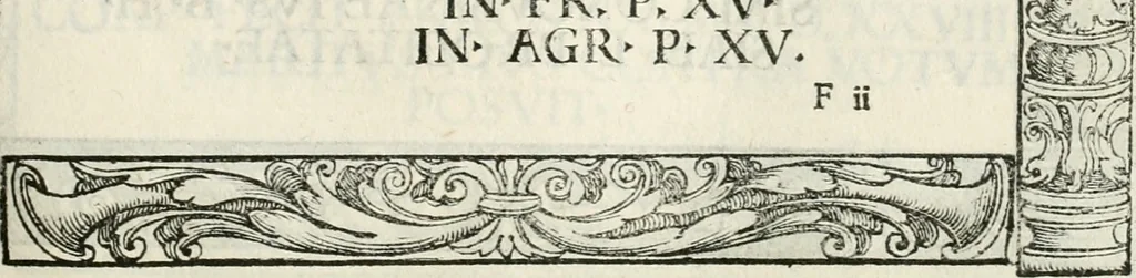 An illustration from Inscriptiones sacrosanctae vetvstatis : non illae qvidem romanae, sed totivs fere orbis svmmo stvdio ac maximis impensis Terra Mariqs conquisitæ feliciter incipiunt, 1534, leaf 84