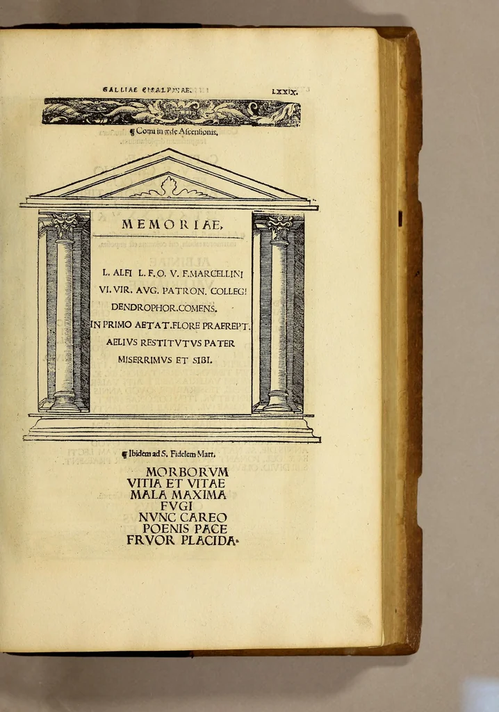 An illustration from Inscriptiones sacrosanctae vetustatis non illae quidem Romanae, sed totius fere orbis summo studio ac maxiimis impensis terra mariq[ue] conquisitae feliciter incipiunt., 1534, leaf 121