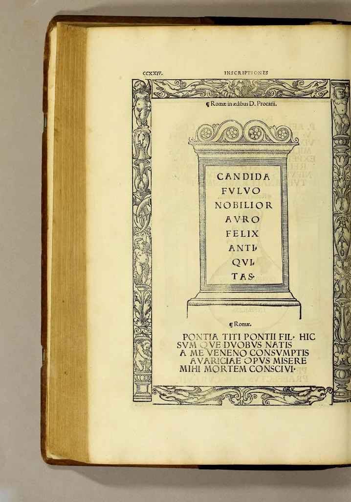 An illustration from Inscriptiones sacrosanctae vetustatis non illae quidem Romanae, sed totius fere orbis summo studio ac maxiimis impensis terra mariq[ue] conquisitae feliciter incipiunt., 1534, leaf 266