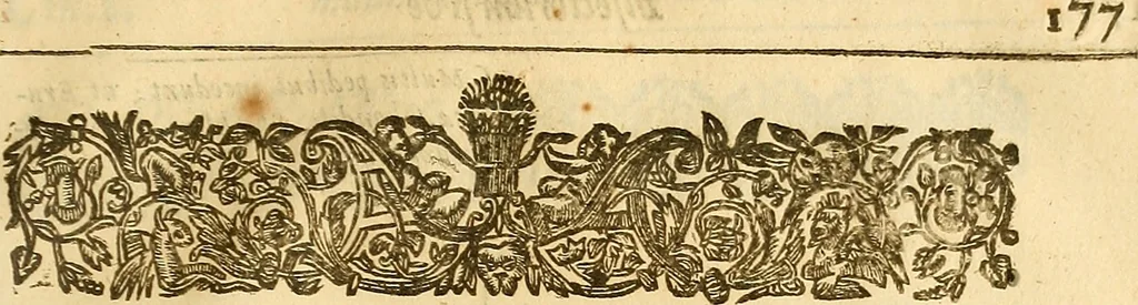 An illustration from Insectorum sive minimorum animalium theatrum: olim ab Edoardo Wottono, Conrado Gesnero, Thomaque Pennio inchoatum: tandem Tho. Movfeti Londinâtis operâ sumptibusq; maximis concinnatum, auctum, perfectum: et ad vivum expressis iconibus suprà quingentis illustratum, 1634, leaf 206