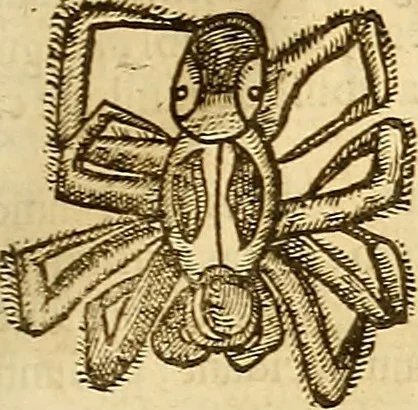 An illustration from Insectorum sive minimorum animalium theatrum: olim ab Edoardo Wottono, Conrado Gesnero, Thomaque Pennio inchoatum: tandem Tho. Movfeti Londinâtis operâ sumptibusq; maximis concinnatum, auctum, perfectum: et ad vivum expressis iconibus suprà quingentis illustratum, 1634, leaf 248