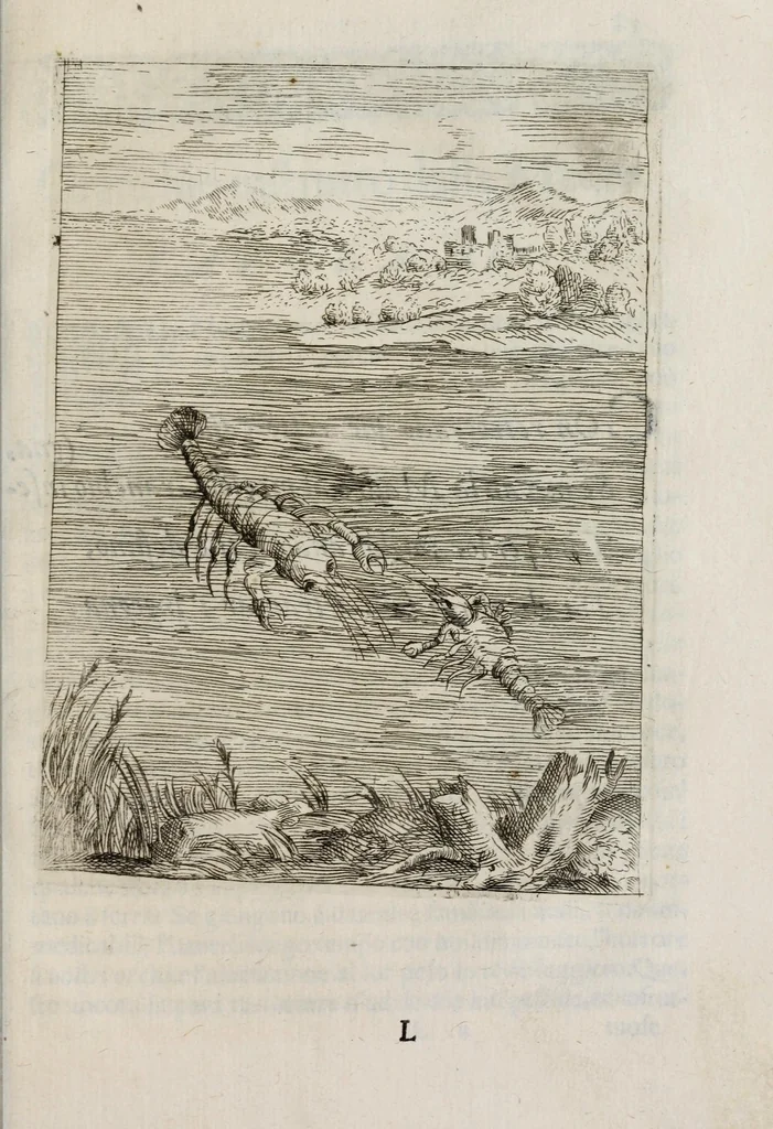 An illustration from Insegnamenti del viuere, 1672, leaf 101
