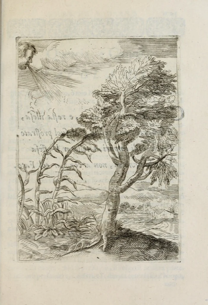 An illustration from Insegnamenti del viuere, 1672, leaf 143