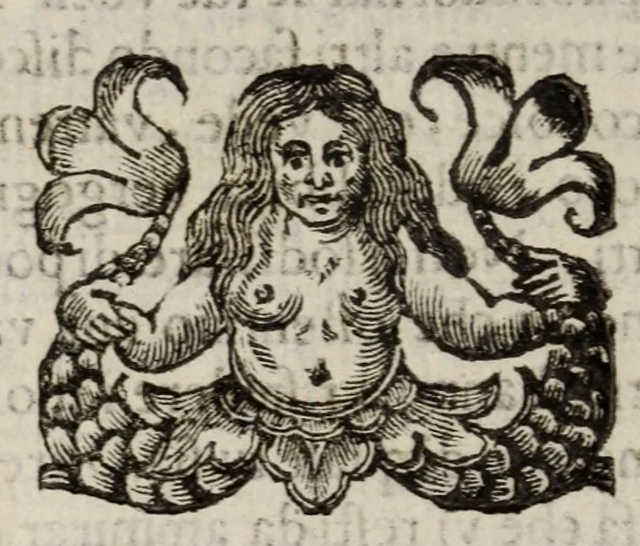 An illustration from Insegnamenti del viuere, 1672, leaf 178