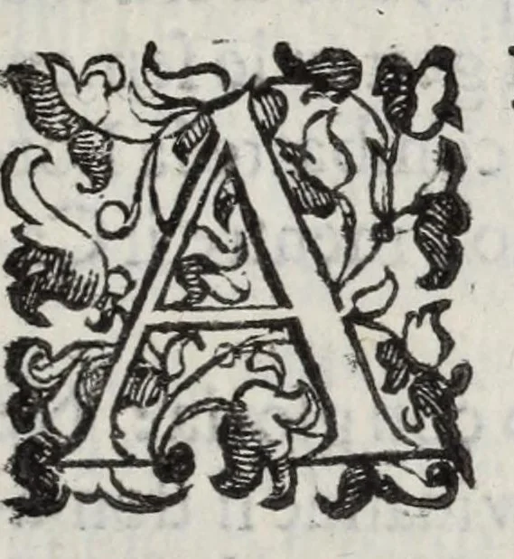 An illustration from Insegnamenti del viuere, 1672, leaf 181