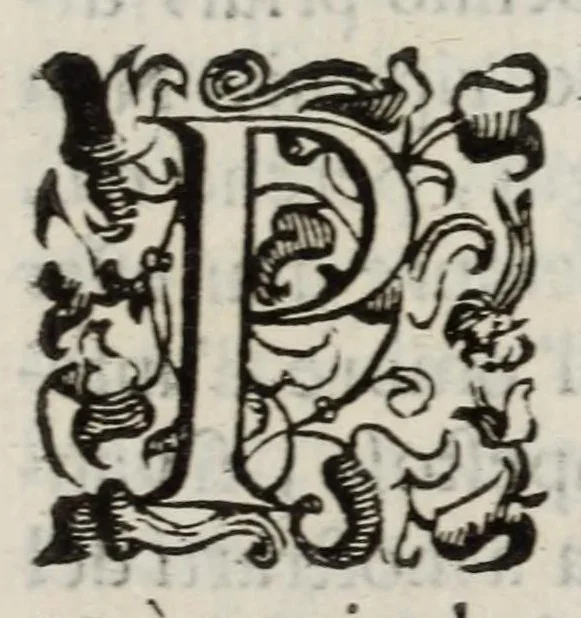 An illustration from Insegnamenti del viuere, 1672, leaf 23