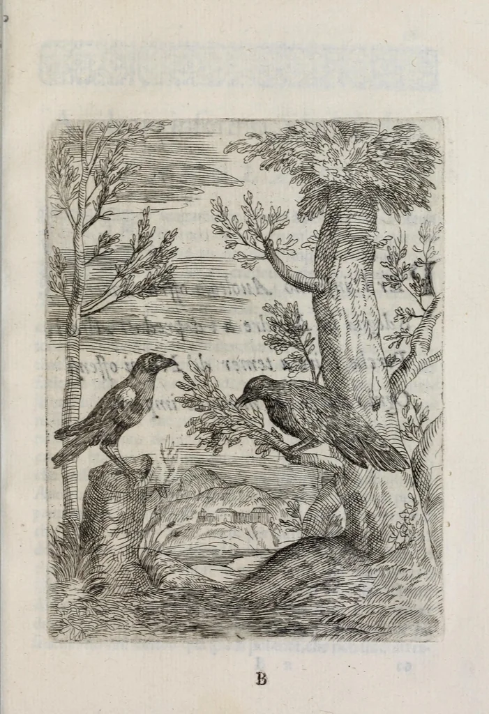 An illustration from Insegnamenti del viuere, 1672, leaf 29