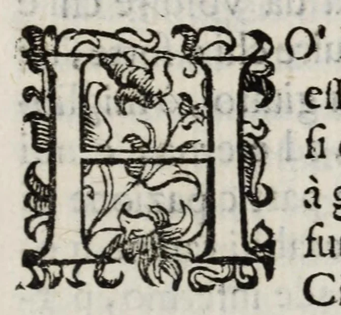 An illustration from Insegnamenti del viuere, 1672, leaf 31