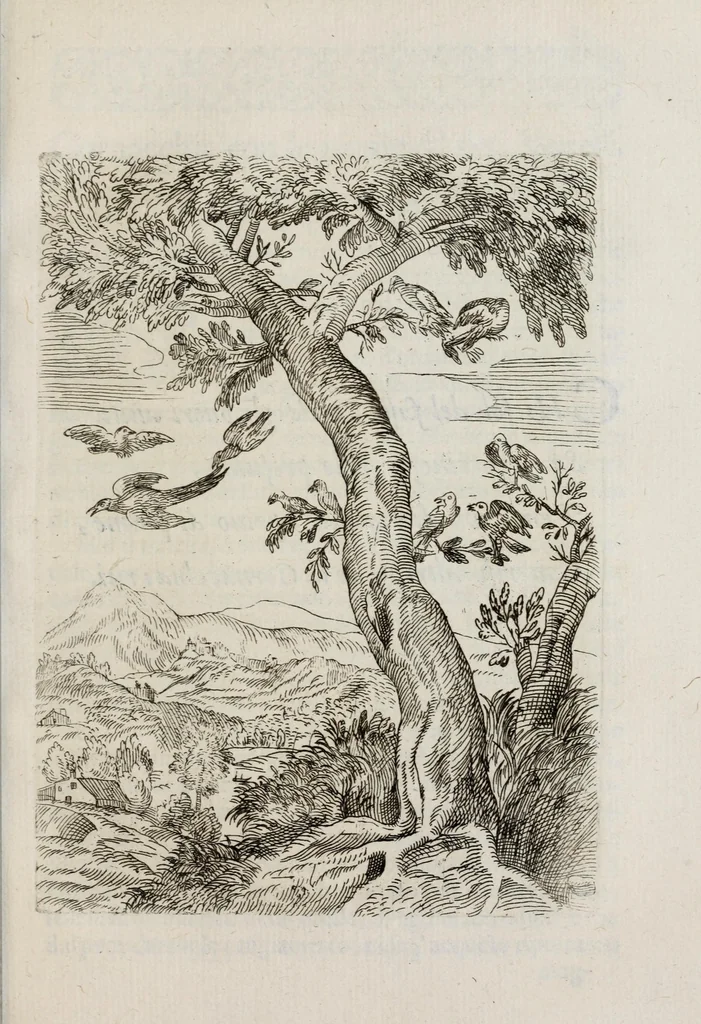 An illustration from Insegnamenti del viuere, 1672, leaf 49