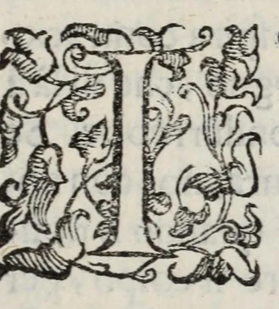 An illustration from Insegnamenti del viuere, 1672, leaf 77