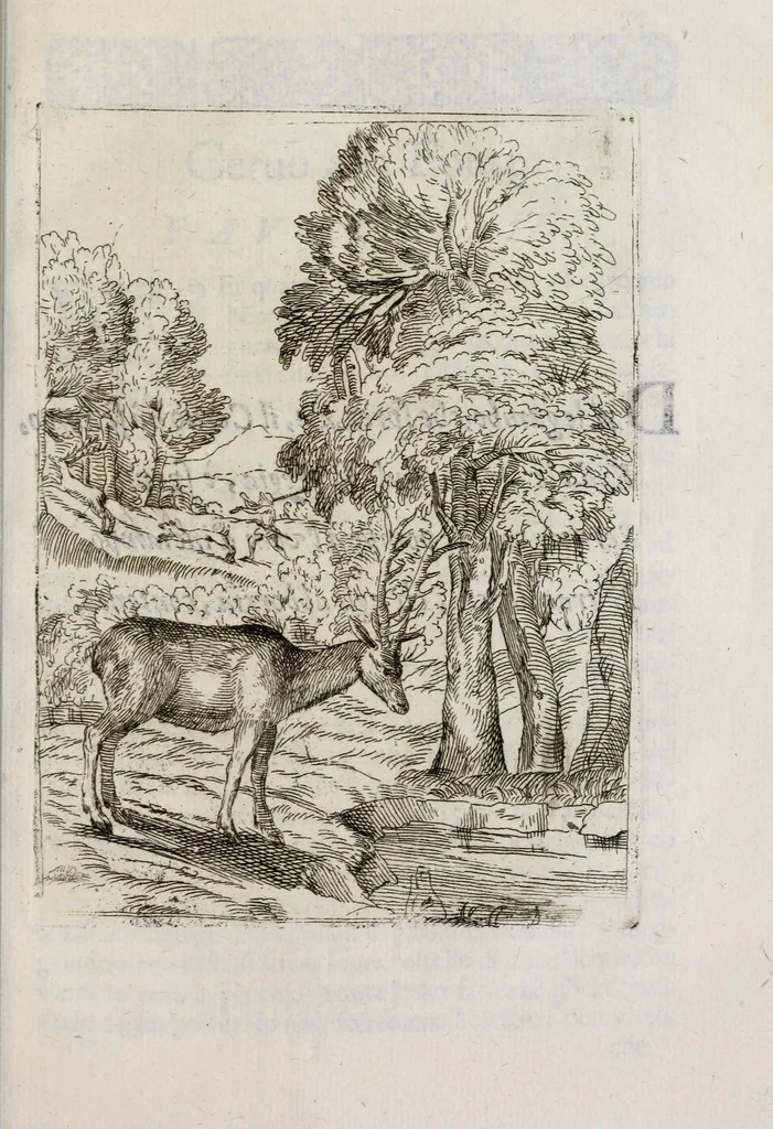 An illustration from Insegnamenti del viuere, 1672, leaf 95
