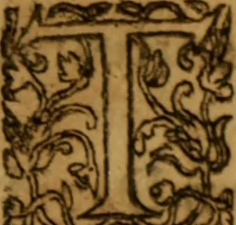 An illustration from In Selectos Aliquot Psalmos Davidis, Roberti Rolloci Scoti, Ecclesiæ Edimburgensis Ministri, Commentarivs, 1610, leaf 256