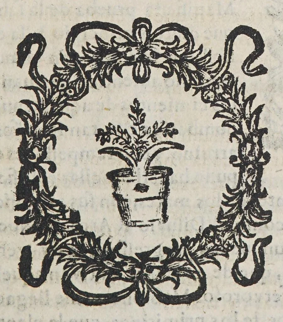 An illustration from Insignes missioneros de la Compañia de Jesus en la Provincia del Paraguay. : Estado presente de sus missiones en Tucuman, Paraguay, y Rio de la Plata, que comprehende su distrito., 1687, leaf 311
