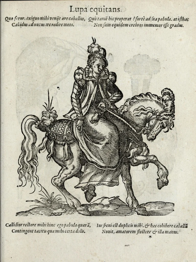 An illustration from Insignia sacrae caesareae maiestatis, principvm electorvm, ac aliqvot illvstrissimarvm, illvstrium, nobilium, & aliarum familiarum, formis artificiosissimis expressa : addito cuiq[ue] peculiari symbolo, & carmine octasticho, quibus cum ipsum insigne tum symbolum ingeniosè, ac sine vlla arrogantia vel mordacitate, liberaliter explicantur : his adiecta svnt totidem vacva (vti appellant) scuta, vt alij quoq[ue], quib. hoc institutum placebit, suae etiam gentis imagines penicillo adijcere possint .., 1579, leaf 179