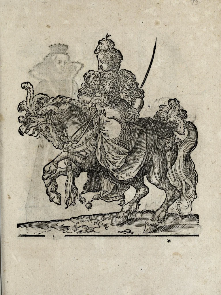An illustration from Insignia sacrae caesareae maiestatis, principvm electorvm, ac aliqvot illvstrissimarvm, illvstrium, nobilium, & aliarum familiarum, formis artificiosissimis expressa : addito cuiq[ue] peculiari symbolo, & carmine octasticho, quibus cum ipsum insigne tum symbolum ingeniosè, ac sine vlla arrogantia vel mordacitate, liberaliter explicantur : his adiecta svnt totidem vacva (vti appellant) scuta, vt alij quoq[ue], quib. hoc institutum placebit, suae etiam gentis imagines penicillo adijcere possint .., 1579, leaf 219