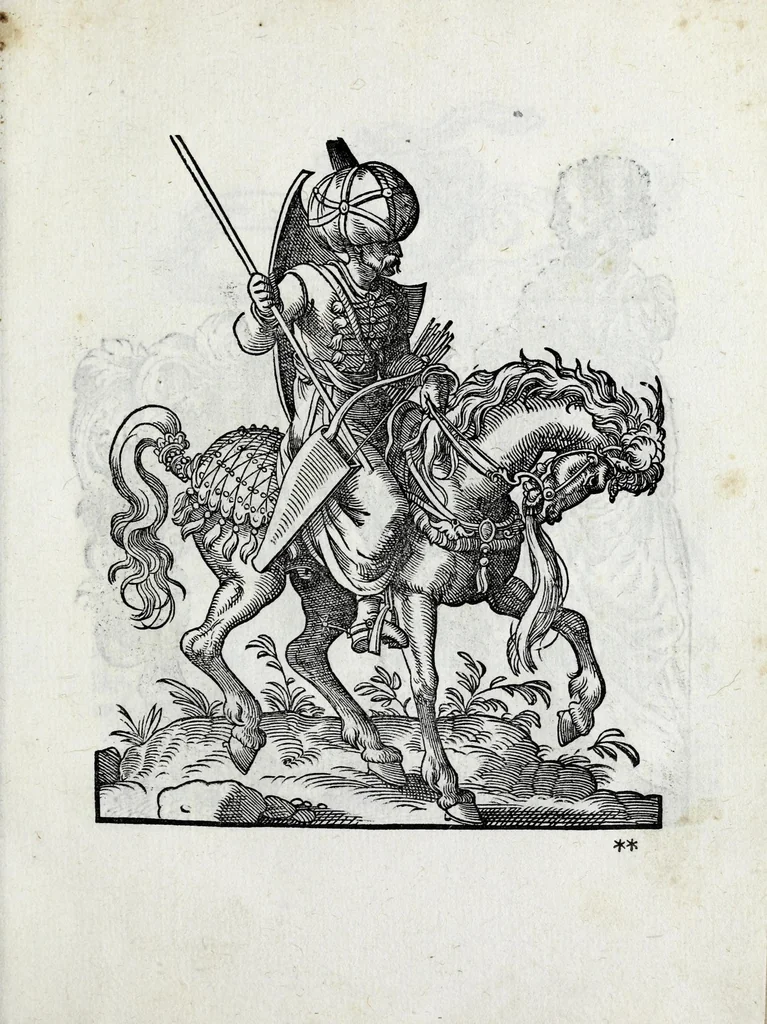 An illustration from Insignia sacrae caesareae maiestatis, principvm electorvm, ac aliqvot illvstrissimarvm, illvstrium, nobilium, & aliarum familiarum, formis artificiosissimis expressa : addito cuiq[ue] peculiari symbolo, & carmine octasticho, quibus cum ipsum insigne tum symbolum ingeniosè, ac sine vlla arrogantia vel mordacitate, liberaliter explicantur : his adiecta svnt totidem vacva (vti appellant) scuta, vt alij quoq[ue], quib. hoc institutum placebit, suae etiam gentis imagines penicillo adijcere possint .., 1579, leaf 251