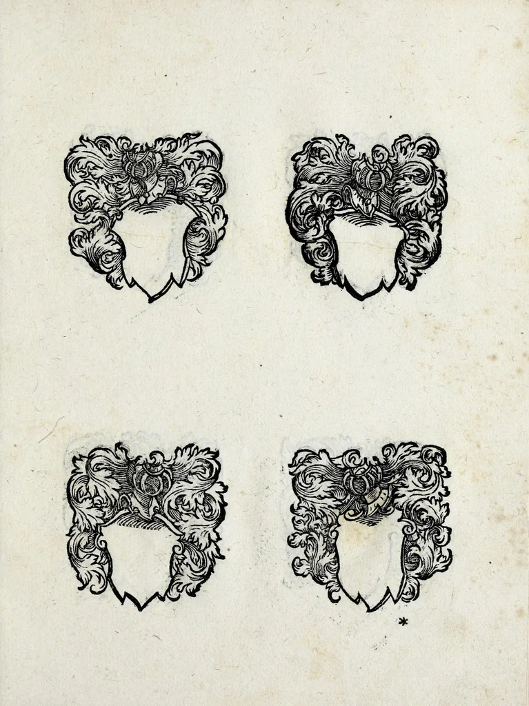 An illustration from Insignia sacrae caesareae maiestatis, principvm electorvm, ac aliqvot illvstrissimarvm, illvstrium, nobilium, & aliarum familiarum, formis artificiosissimis expressa : addito cuiq[ue] peculiari symbolo, & carmine octasticho, quibus cum ipsum insigne tum symbolum ingeniosè, ac sine vlla arrogantia vel mordacitate, liberaliter explicantur : his adiecta svnt totidem vacva (vti appellant) scuta, vt alij quoq[ue], quib. hoc institutum placebit, suae etiam gentis imagines penicillo adijcere possint .., 1579, leaf 265