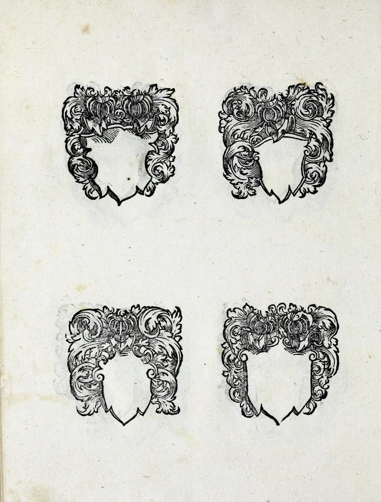 An illustration from Insignia sacrae caesareae maiestatis, principvm electorvm, ac aliqvot illvstrissimarvm, illvstrium, nobilium, & aliarum familiarum, formis artificiosissimis expressa : addito cuiq[ue] peculiari symbolo, & carmine octasticho, quibus cum ipsum insigne tum symbolum ingeniosè, ac sine vlla arrogantia vel mordacitate, liberaliter explicantur : his adiecta svnt totidem vacva (vti appellant) scuta, vt alij quoq[ue], quib. hoc institutum placebit, suae etiam gentis imagines penicillo adijcere possint .., 1579, leaf 276