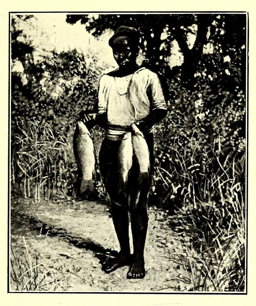 An illustration from In South Central Africa : being an account of some of the experiences and journeys of the author during a stay of six years in that country, 1912, leaf 133
