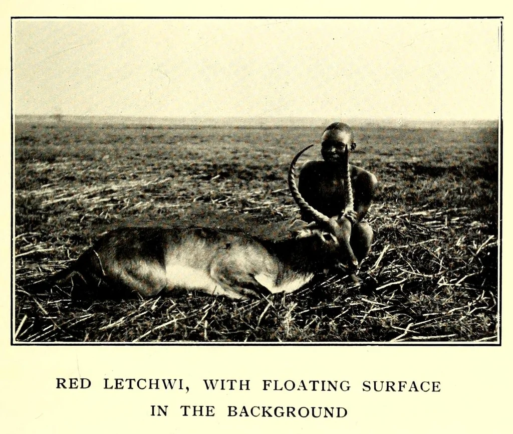 An illustration from In South Central Africa : being an account of some of the experiences and journeys of the author during a stay of six years in that country, 1912, leaf 153