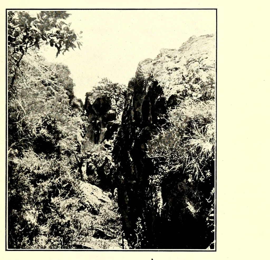 An illustration from In South Central Africa : being an account of some of the experiences and journeys of the author during a stay of six years in that country, 1912, leaf 171