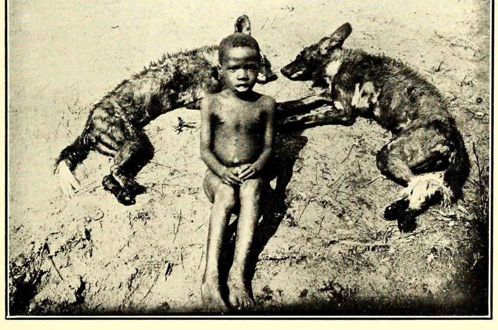 An illustration from In South Central Africa : being an account of some of the experiences and journeys of the author during a stay of six years in that country, 1912, leaf 189