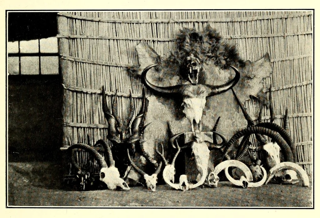 An illustration from In South Central Africa : being an account of some of the experiences and journeys of the author during a stay of six years in that country, 1912, leaf 223