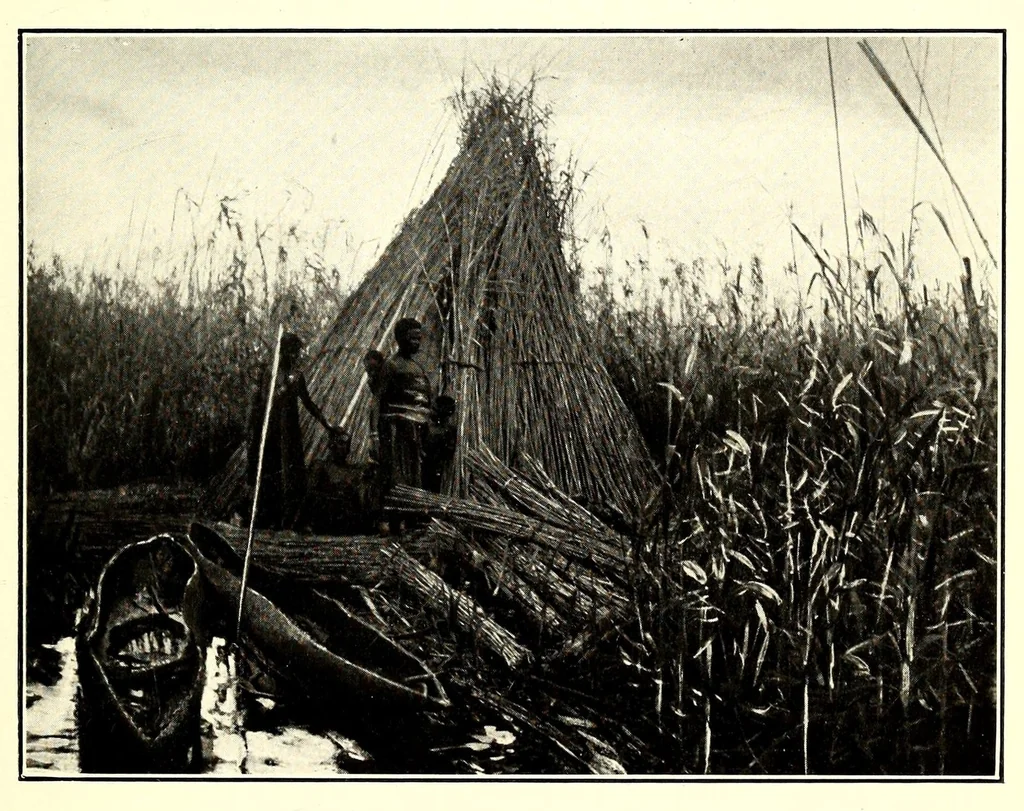 An illustration from In South Central Africa : being an account of some of the experiences and journeys of the author during a stay of six years in that country, 1912, leaf 91