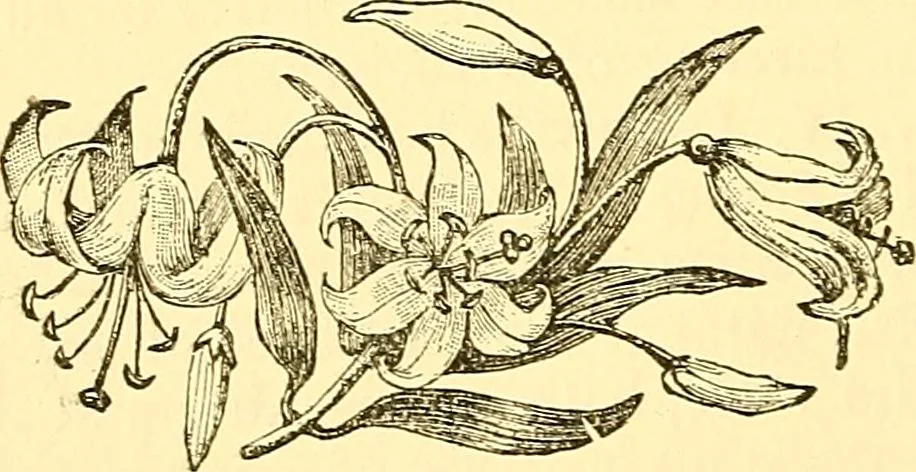 An illustration from Inspirational lectures and impromptu poems, 1884, leaf 16