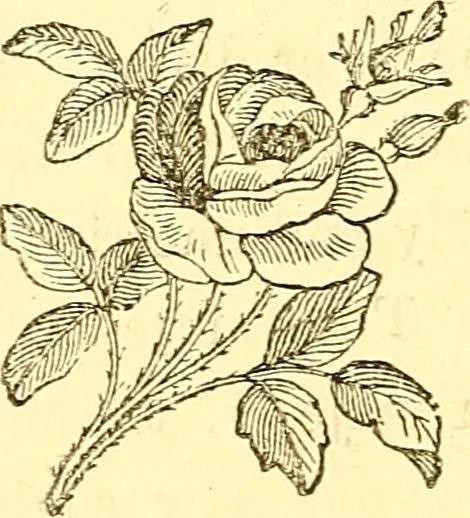An illustration from Inspirational lectures and impromptu poems, 1884, leaf 18