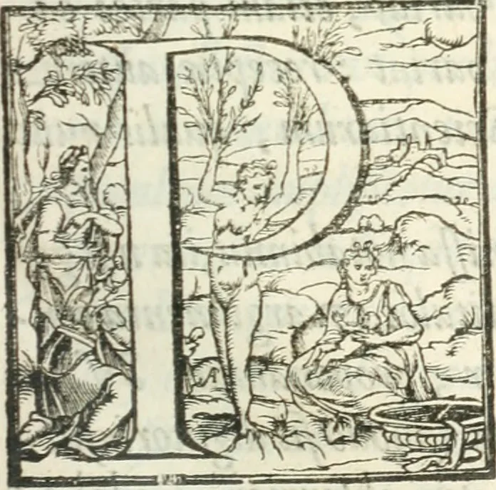 An illustration from Instauratio magna. Multi petrasibunt & augebitur scientia, 1620, leaf 30